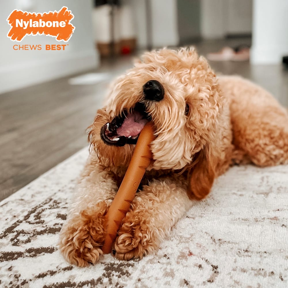 Dog nylabone top