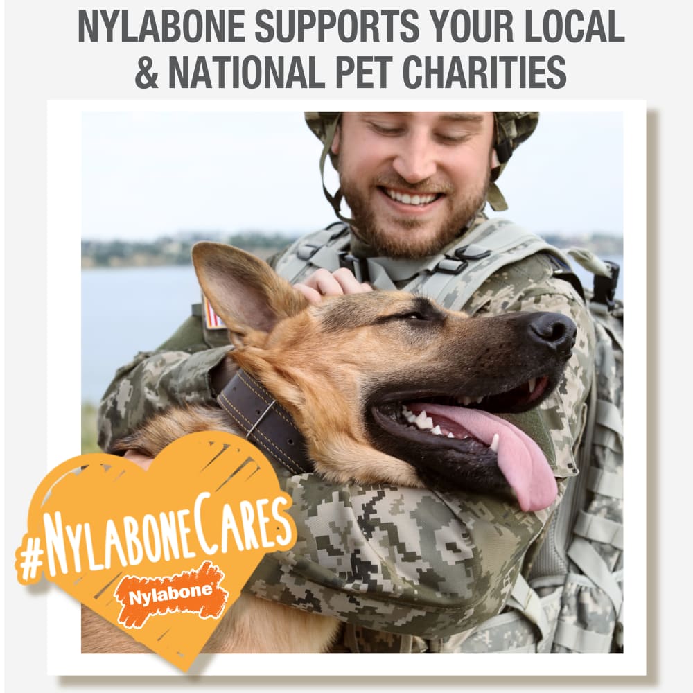 Nylabone Cares graphic