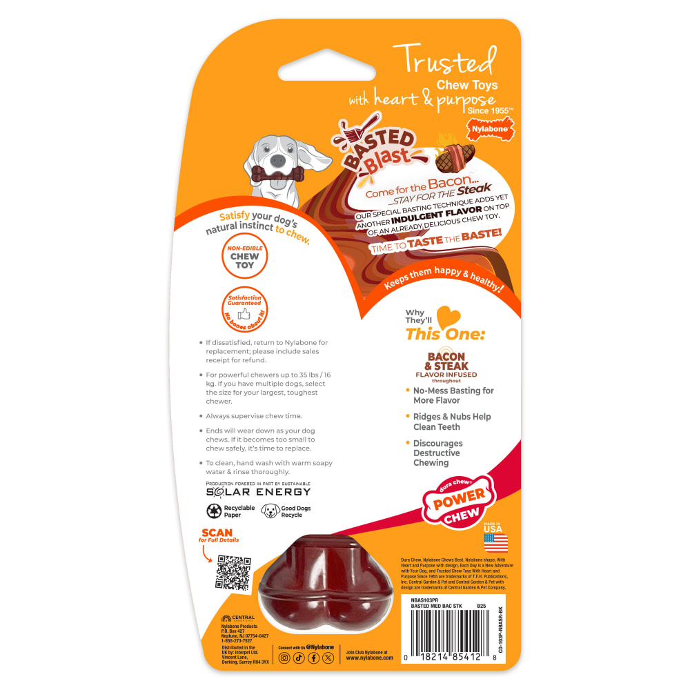 Power Chew Basted Blast Textured Bone Chew Toy | Nylabone