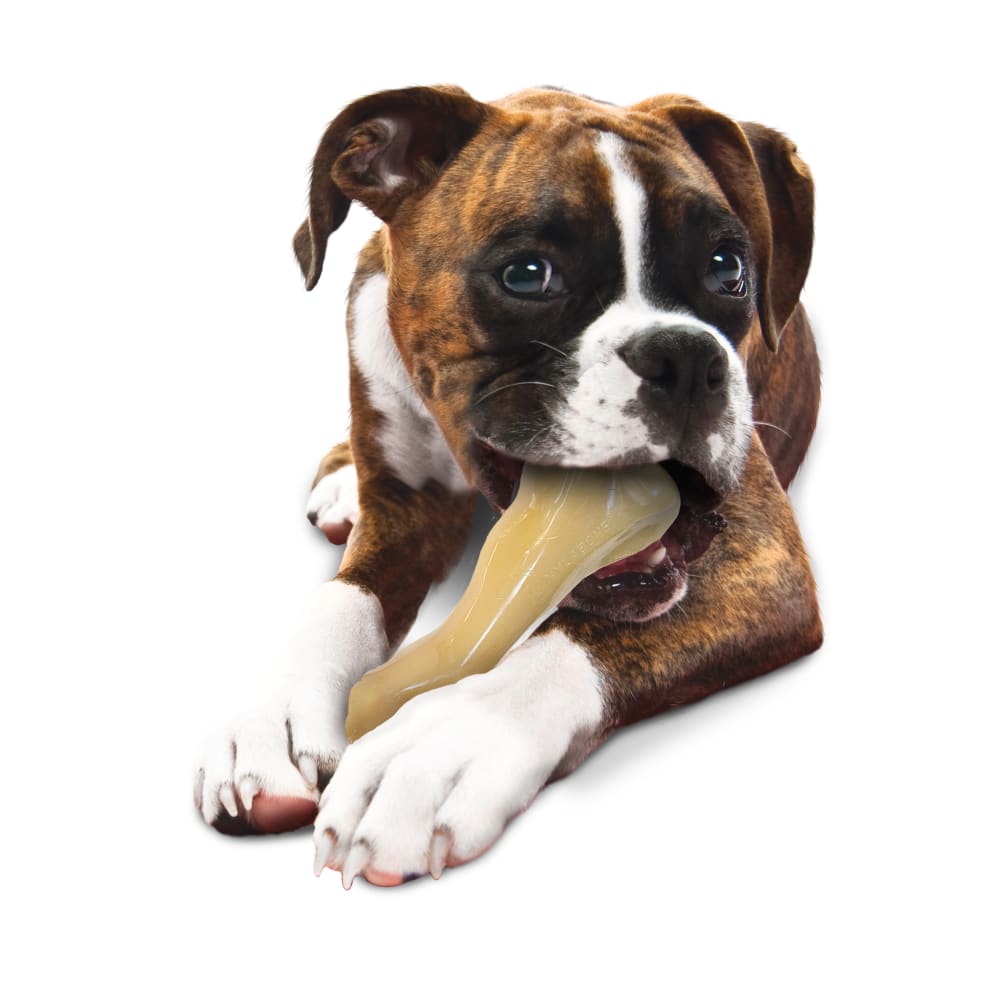 018214813026-nylabone-big-chew-beef-bone-bl-lifestyle