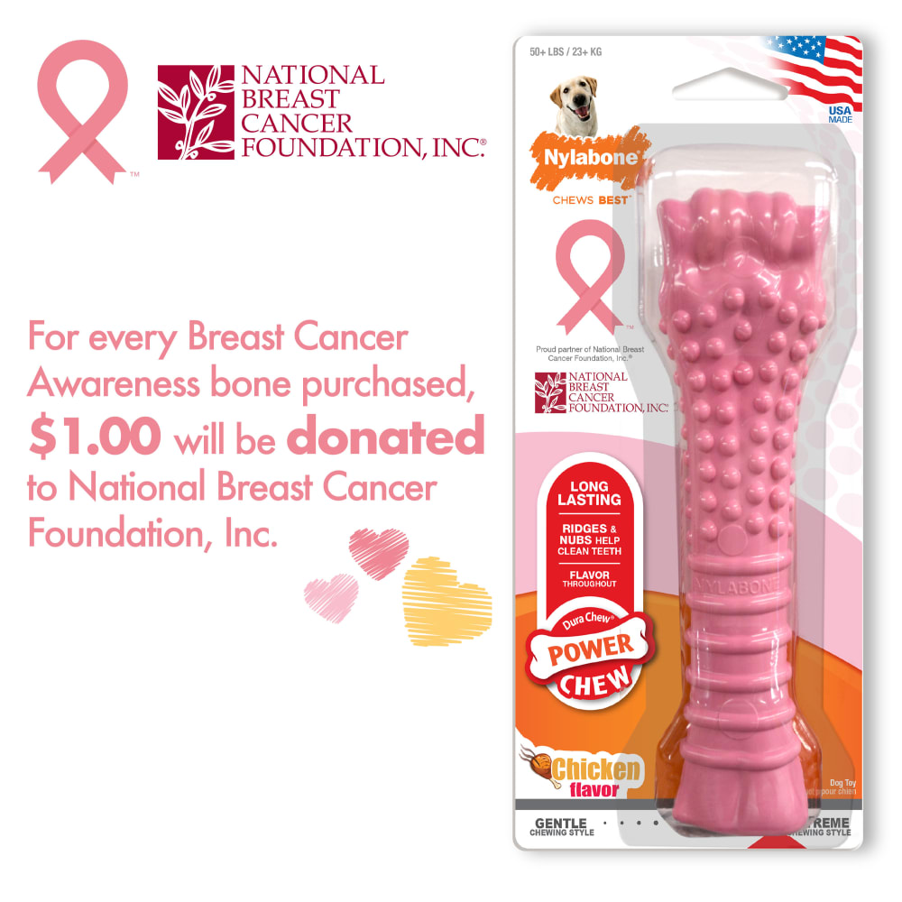 018214849704-nylabone-breast-cancer-awareness-pink-bone-other-images-donationhero