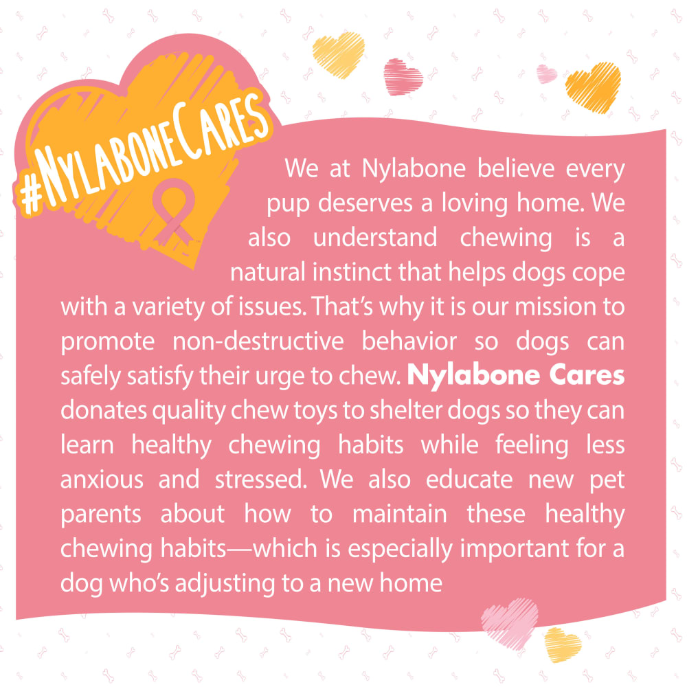018214849704-nylabone-breast-cancer-awareness-pink-bone-otherimages-nylabonecares
