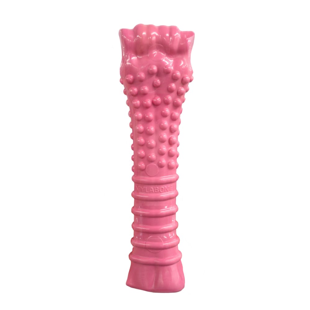 018214849704-nylabone-breast-cancer-awareness-pink-bone-outofpackage