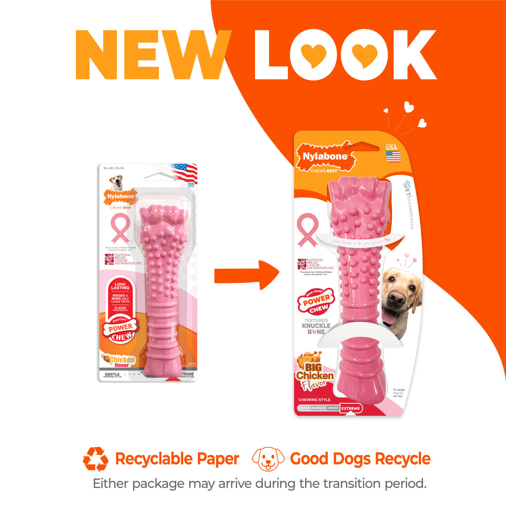 Breast Cancer Awareness Pink Textured Chew Toy | Nylabone