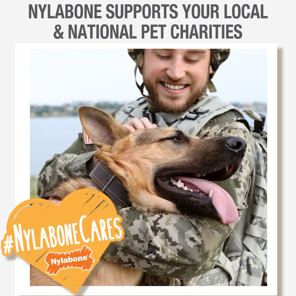 018214849360-beefjerkyandrealchicken-medium-nylabonecares