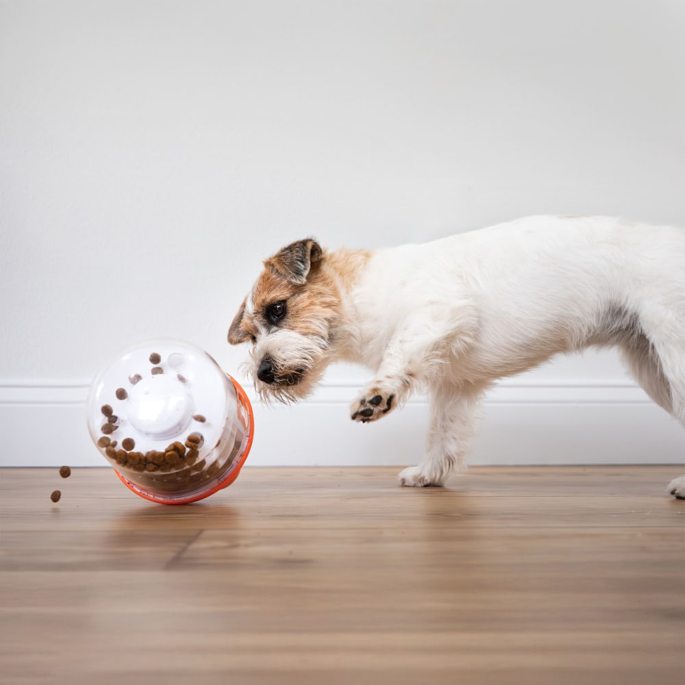 018214855903-nbpb100p-ugc1