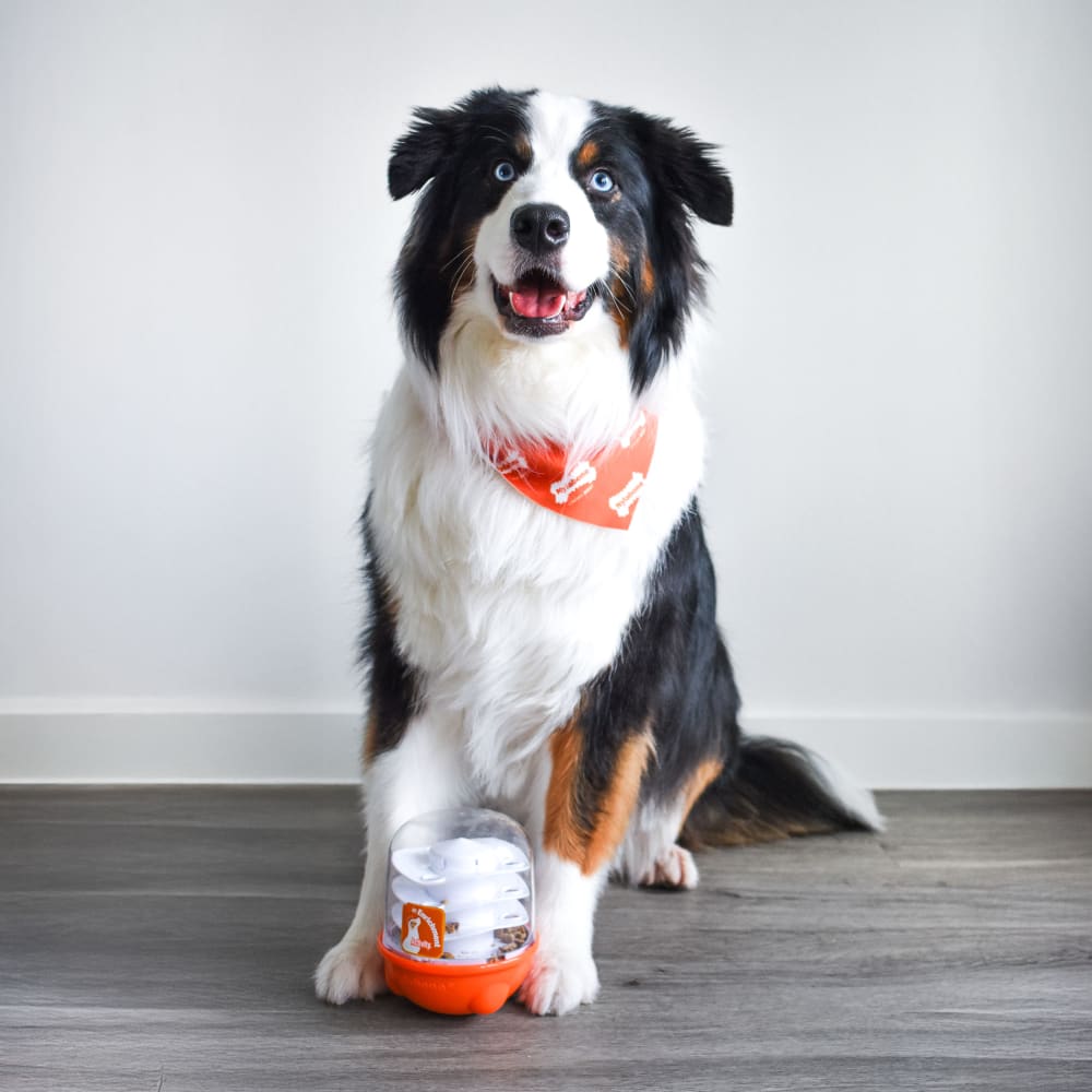 018214855903-nbpb100p-ugc2