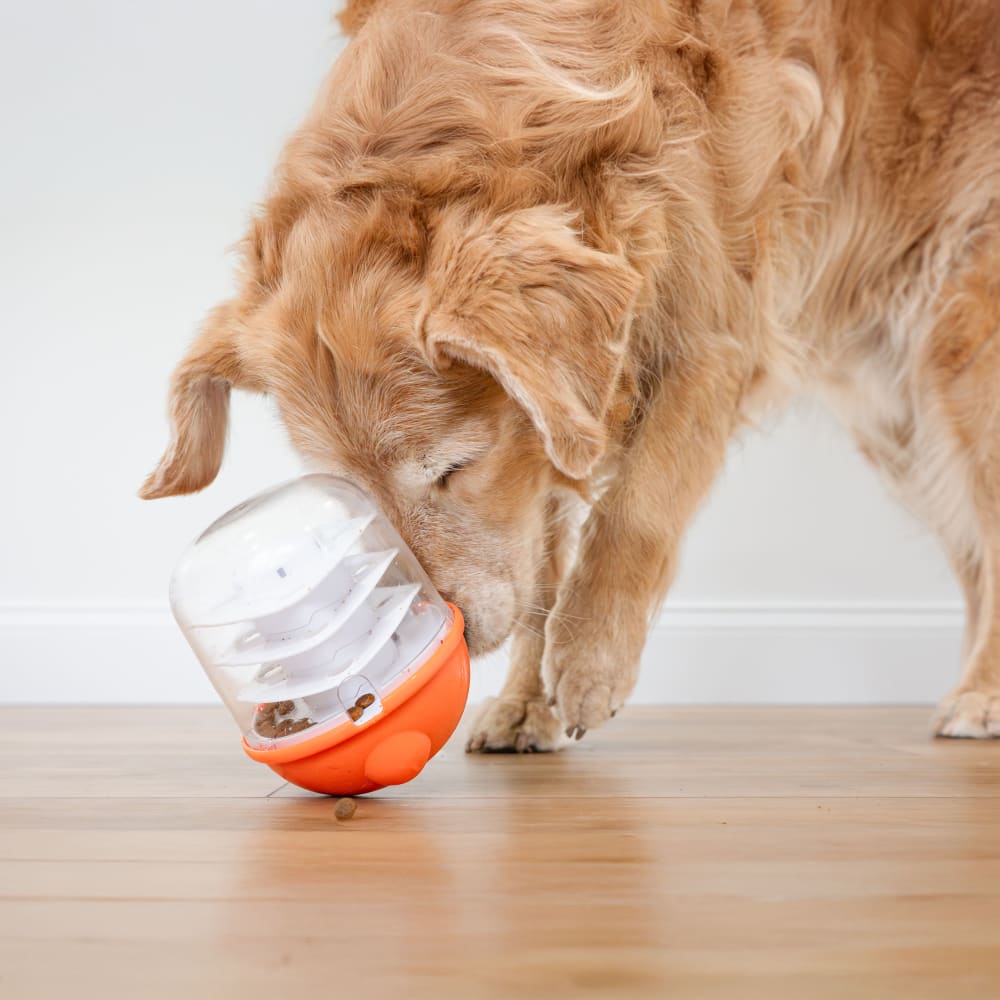 018214855903-nbpb100p-ugc3