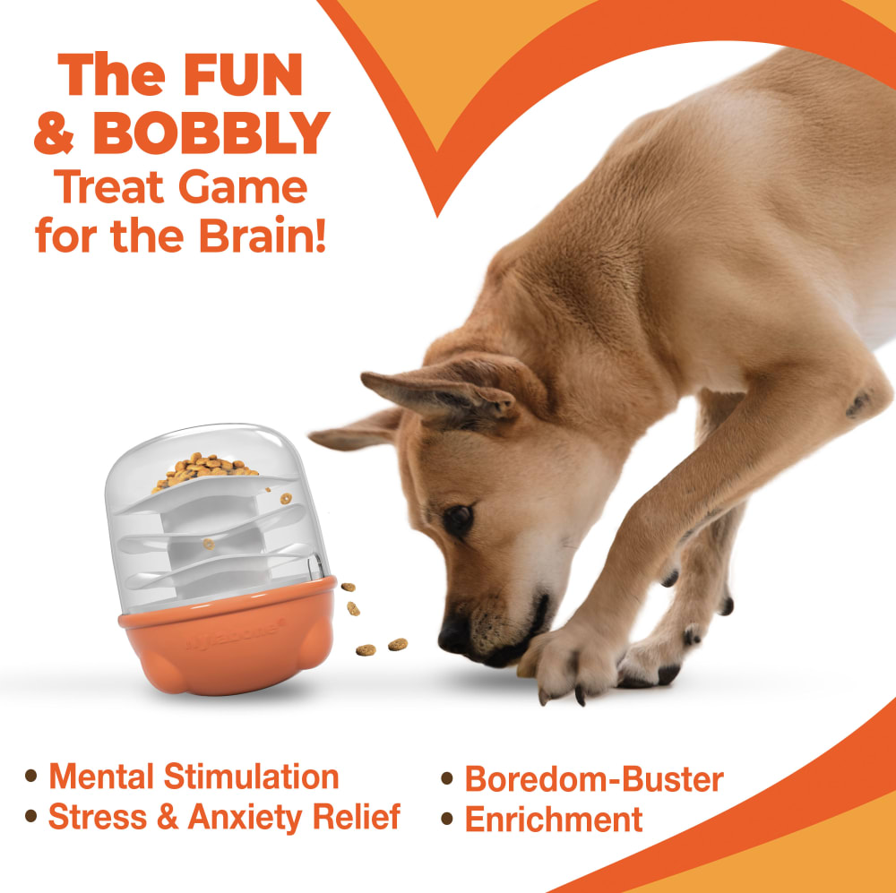 018214855903-nylabone-boop-n-booble-solutions