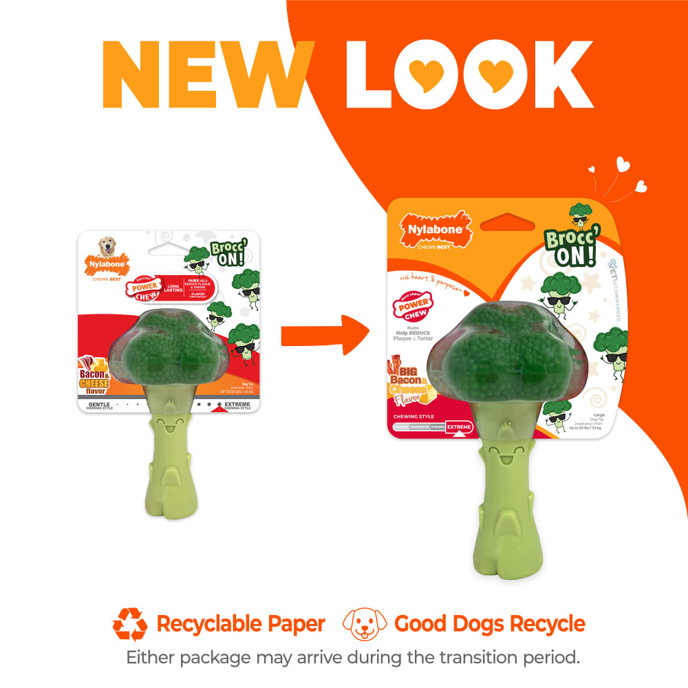 Power Chew Broccoli Dog Toy | Nylabone