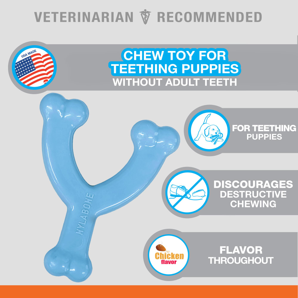 018214832416-nylabone-puppy-wishbone-blue-outofpackage