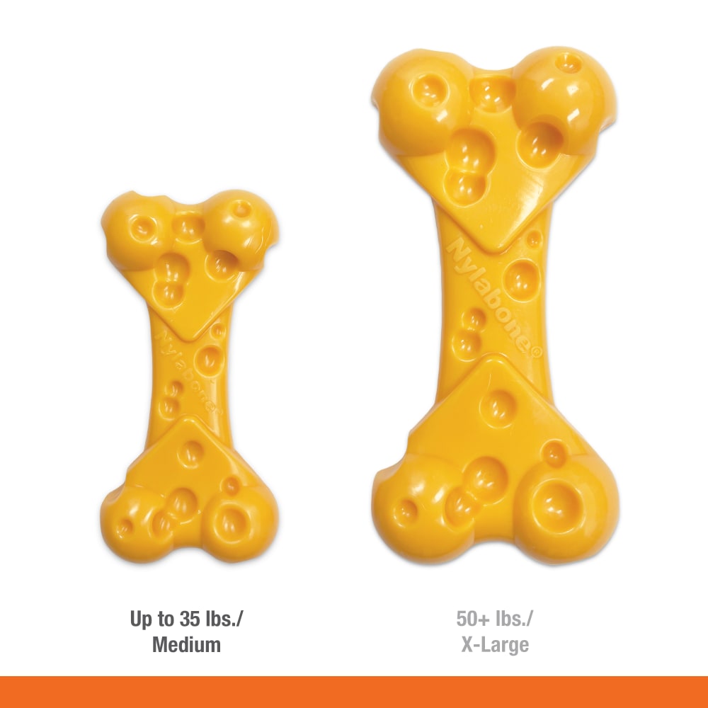 Cheese dog toy cheap