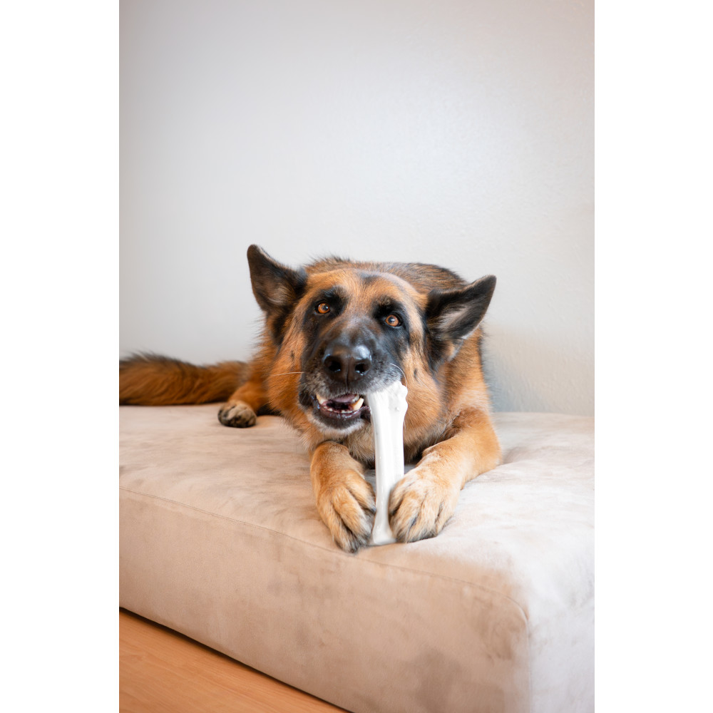 Power Chew Knuckle Bone | Nylabone