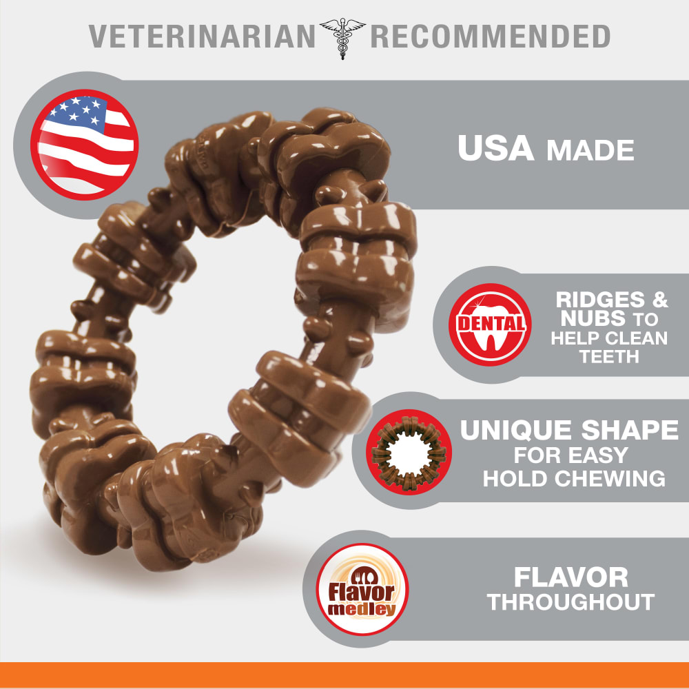 Power Chew Textured Dog Ring Toy Nylabone