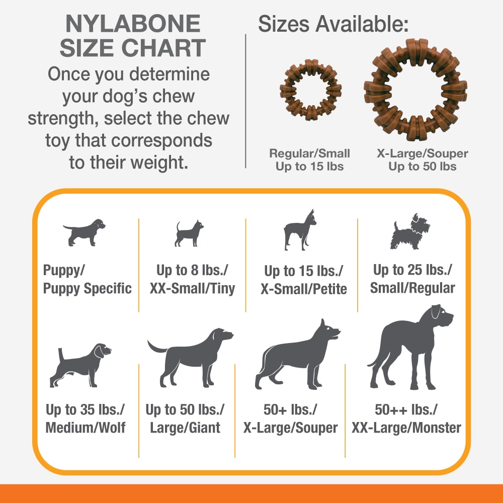 Power Chew Textured Dog Ring Toy Nylabone