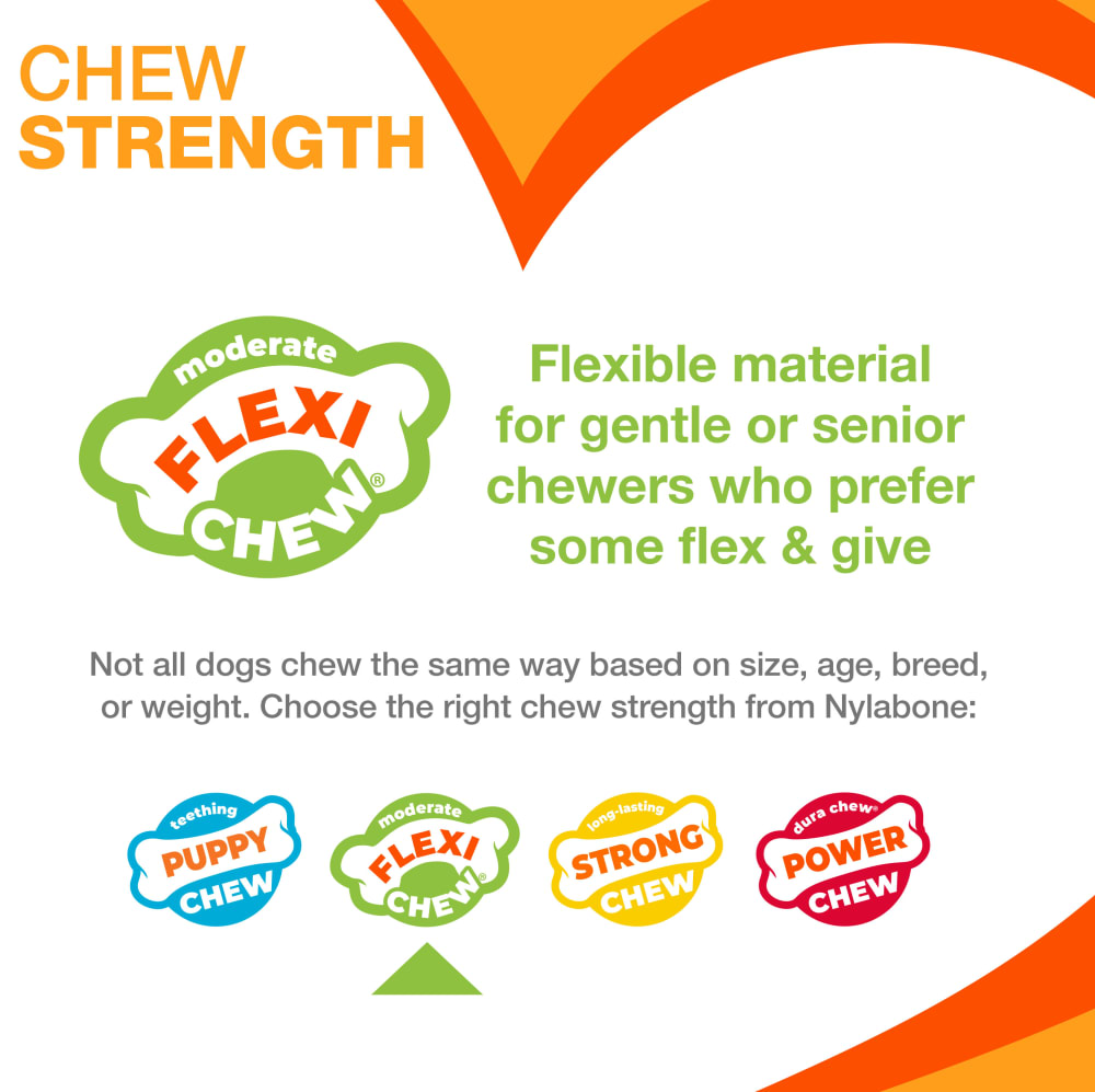 nylabone-chew-strength-flexi-chew-fy25