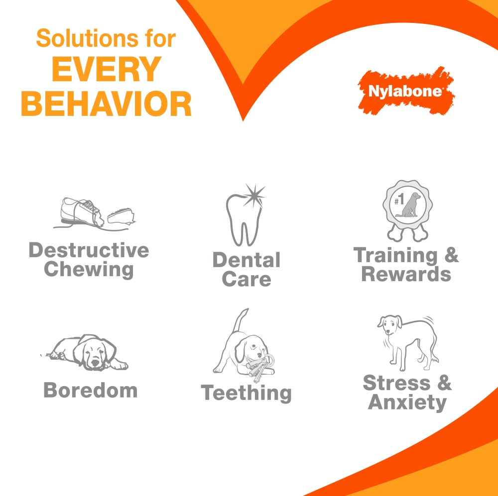 nylabone-solutions-fy25
