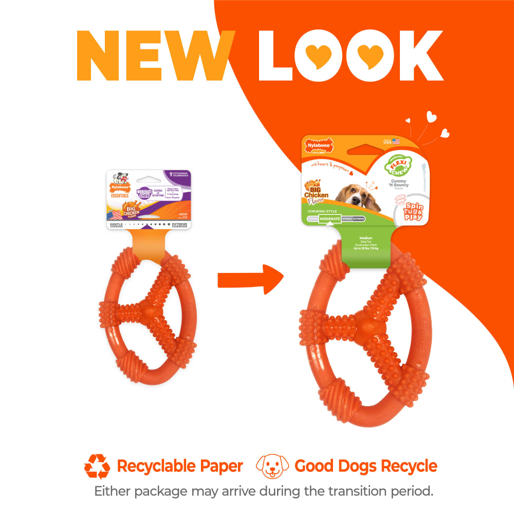 Flexi Chew Oval Ring Chew Toy | Nylabone