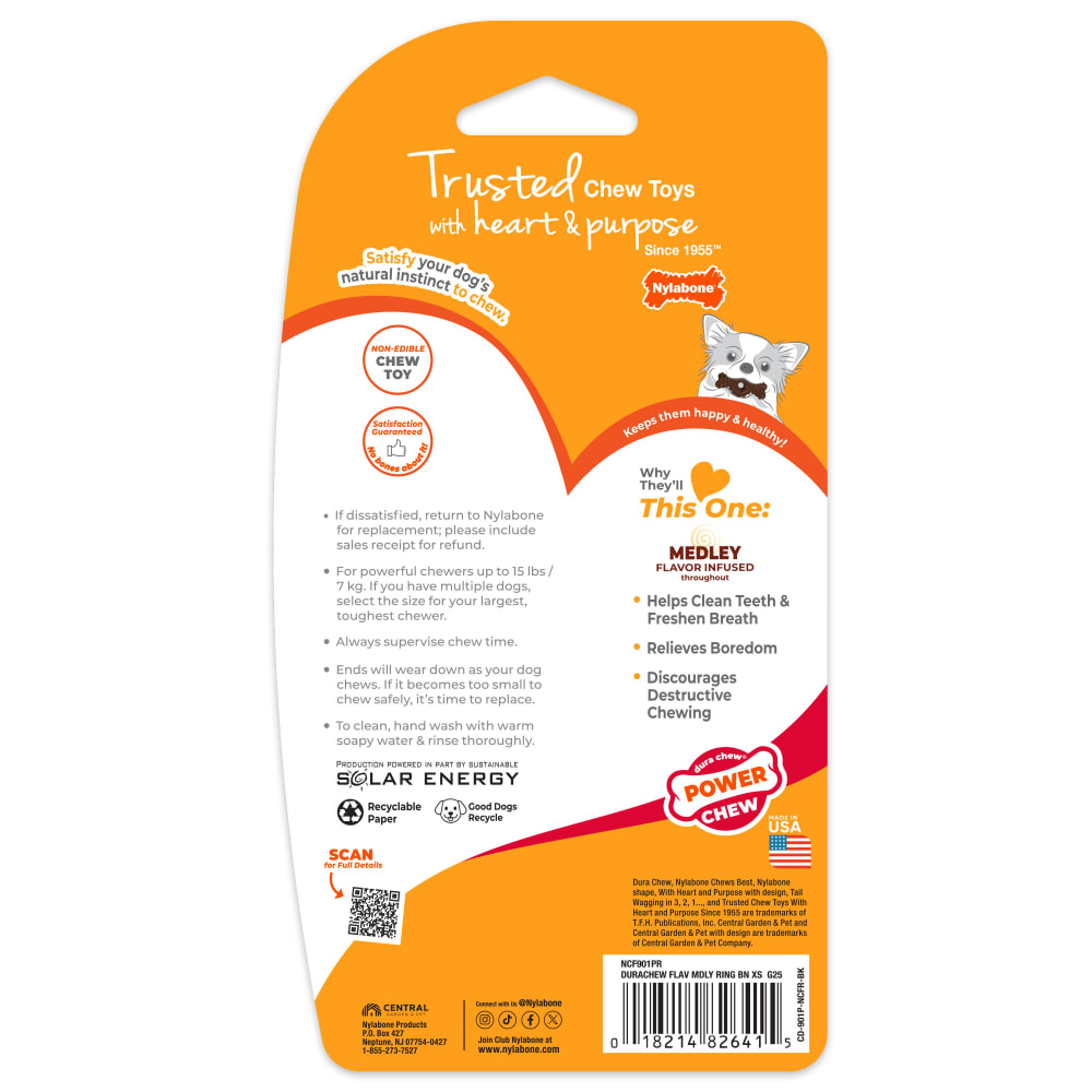 Ring Bone Dog Chew Toy | Power Chew | Nylabone