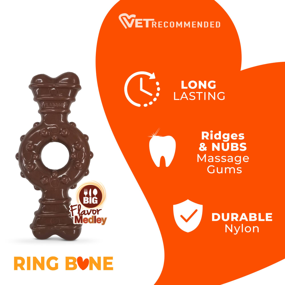 Ring Bone Dog Chew Toy | Power Chew | Nylabone