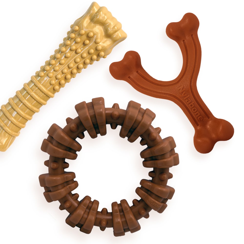 018214848806-nylabone-customerfavoritepowerchewbundle-outofpackage1