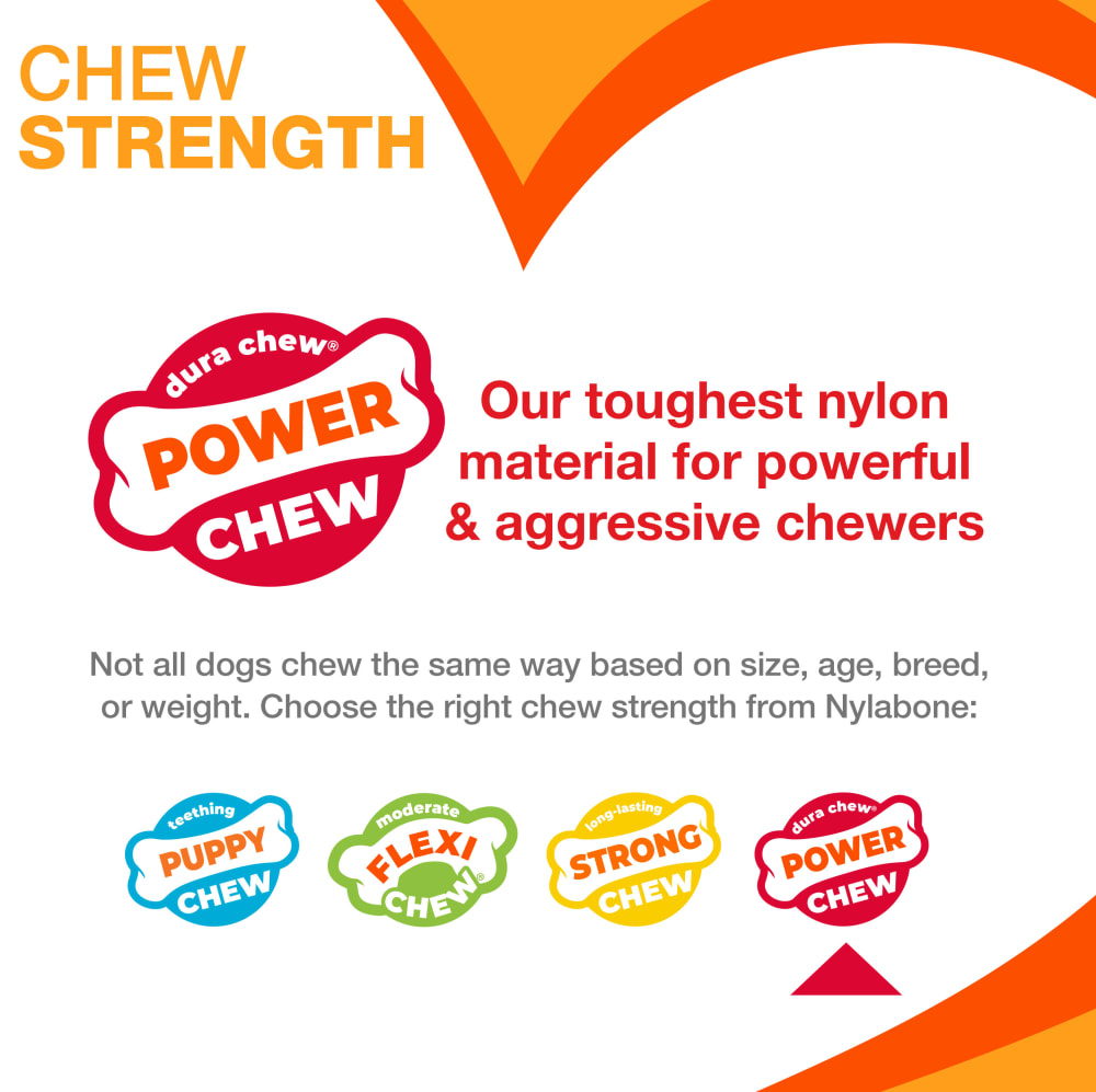 nylabone-chew-strength-power-chew-fy25