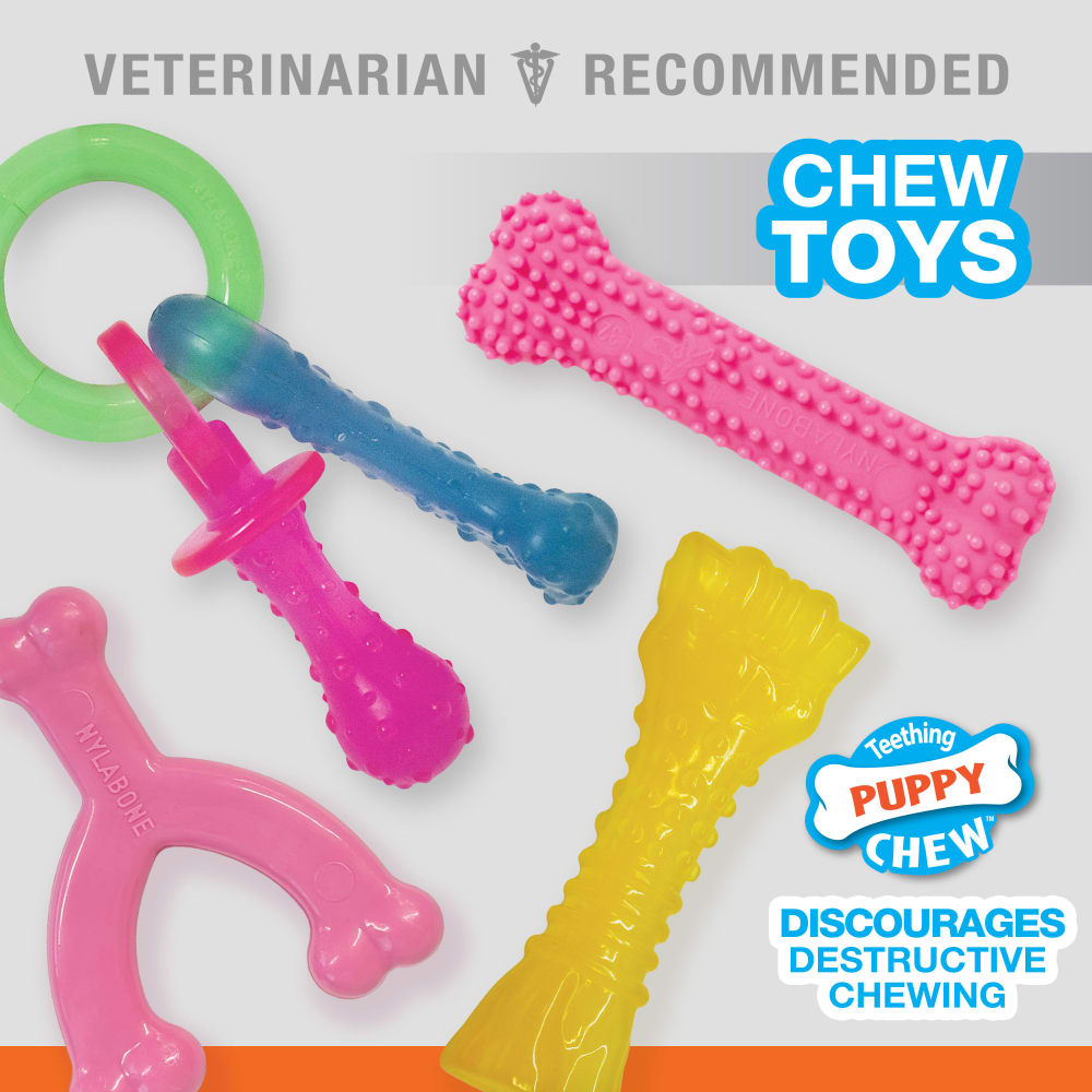 Nylabone Puppy Bundle Pink Outofpackage Info out of packaging