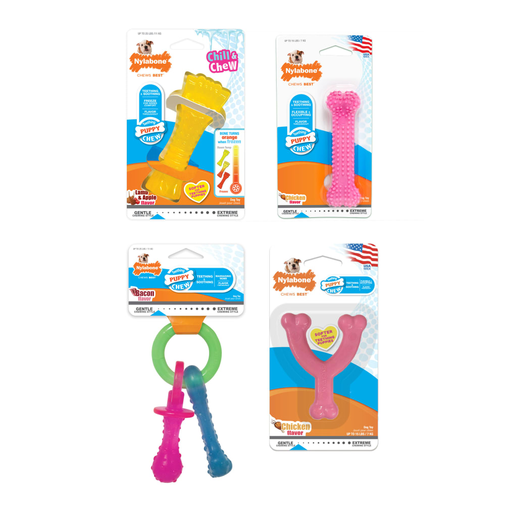 Front view of N1621w Nylabone Puppy Bundle Pink Inpackagingfrontv2 in packaging