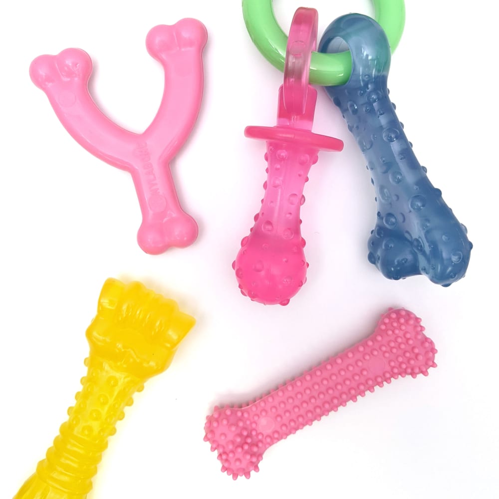 Flat lay arrangement of Webad Fy21 Flatlay Puppy Pink W