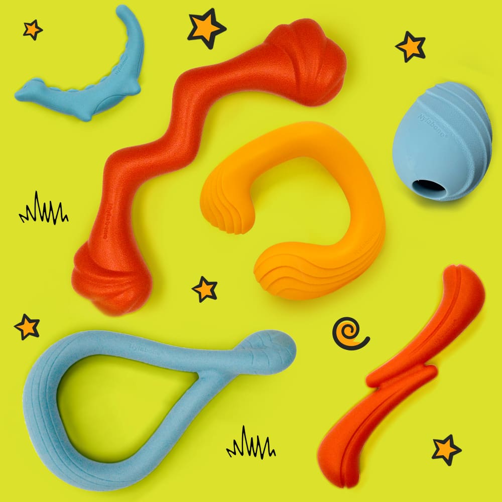 018214853800-nylabone-creative-play-large-springa-tuug-bundle-family