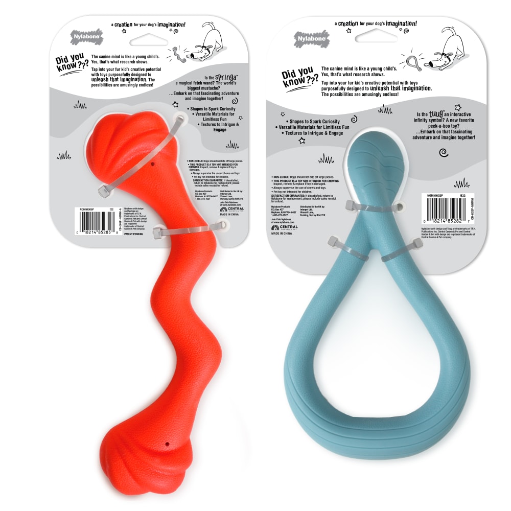 018214853800_Nylabone_Creative Play Large Springa Tuug Bundle_InPackagingBack