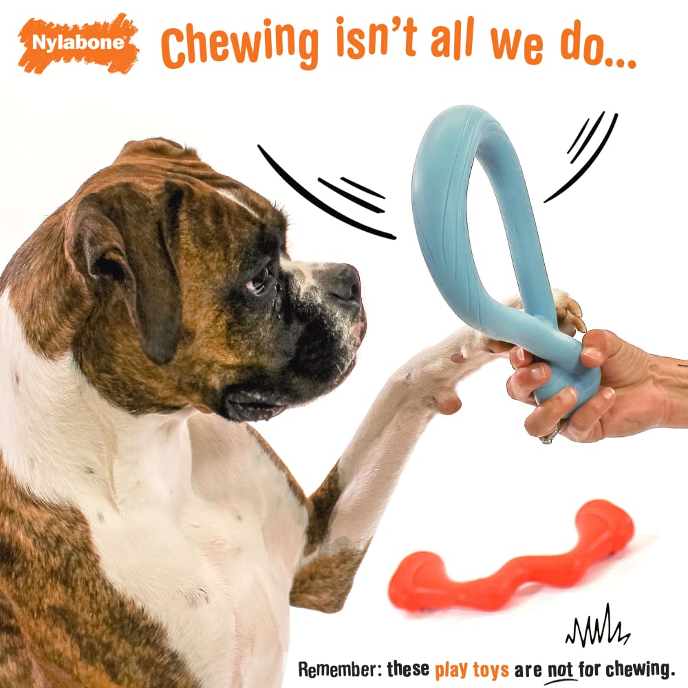 018214853800-nylabone-creative-play-large-springa-tuug-bundle-lifestyle