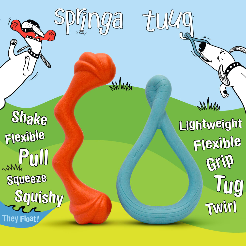 018214853800_Nylabone_Creative Play Large Springa Tuug Bundle_OutOfPackaging