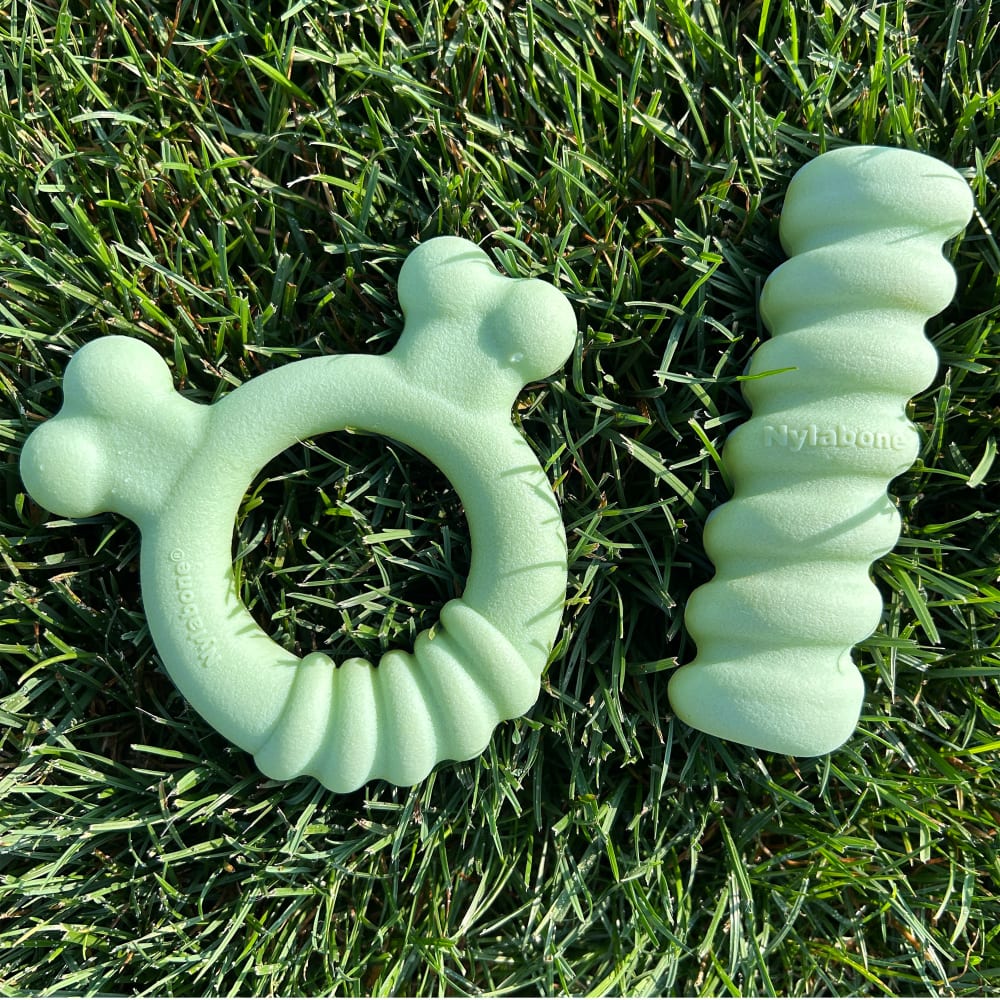 Nylabone Puppy Chew Tactile Stick Peanut Butter family