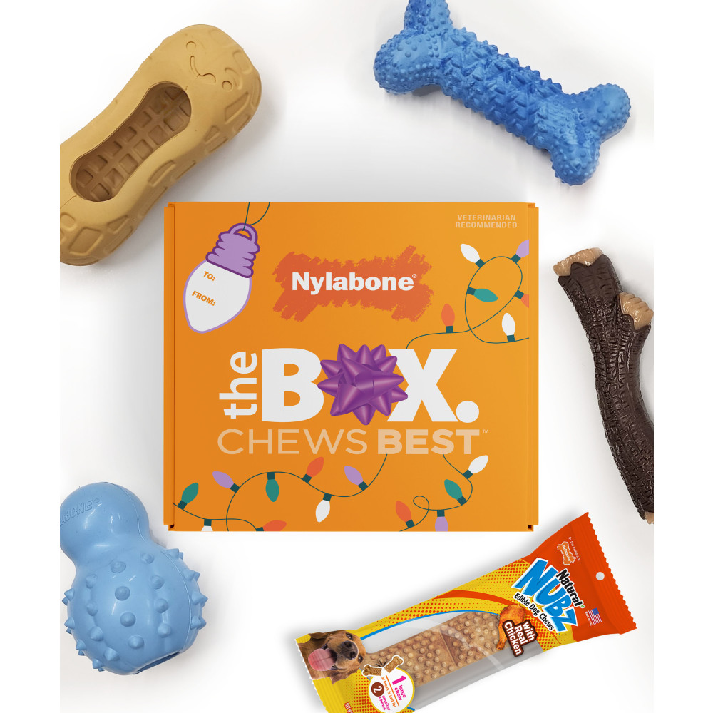 Nylabone Holiday Box for small dogs with bundled chews.