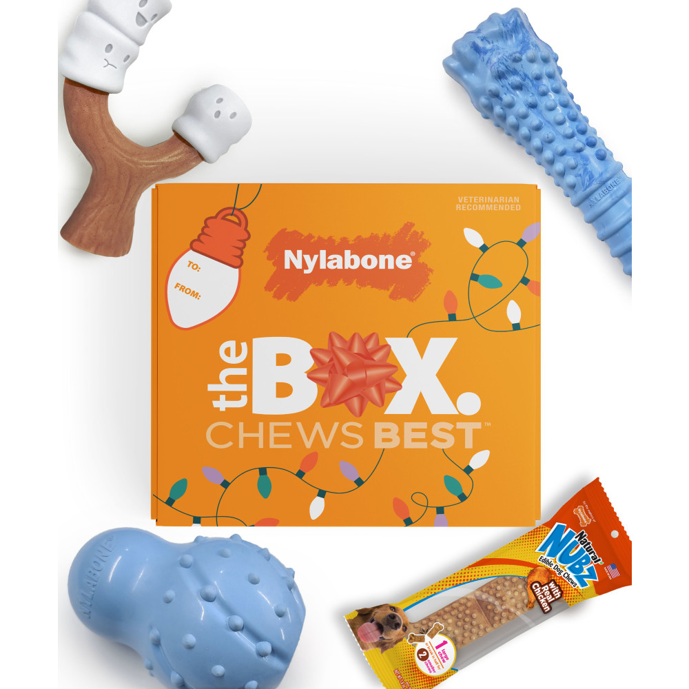 Top view of Holiday Box for large dogs with bundled chews.