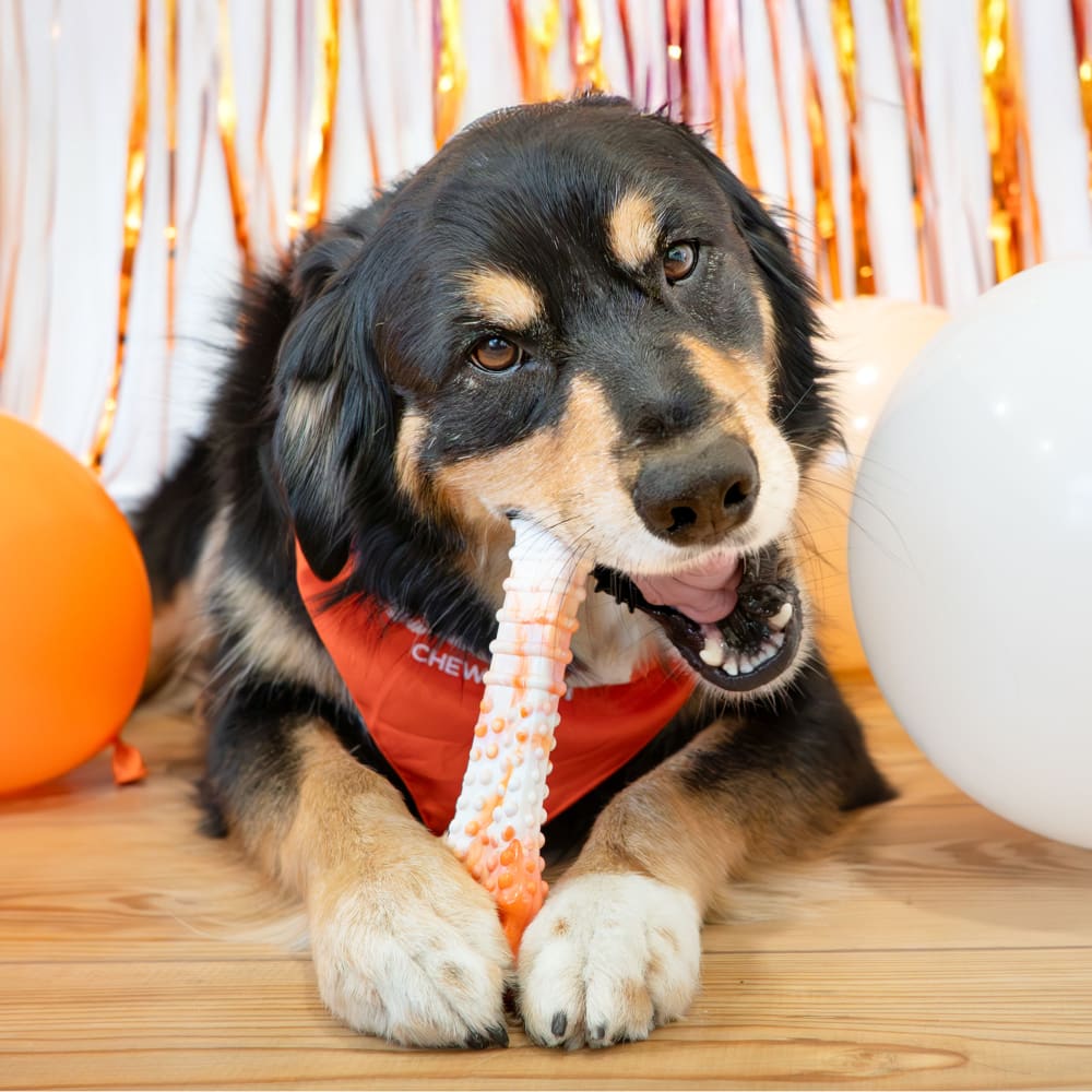 018214856535-orange-white-swirl-xl-lifestyle