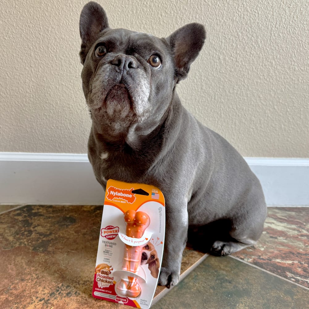 018214856528-orange-white-swirl-medium-lifestyle