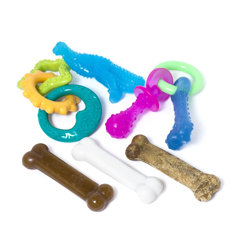 Nylabone Amazon Puppy Bundle Kit Med Familygroup family