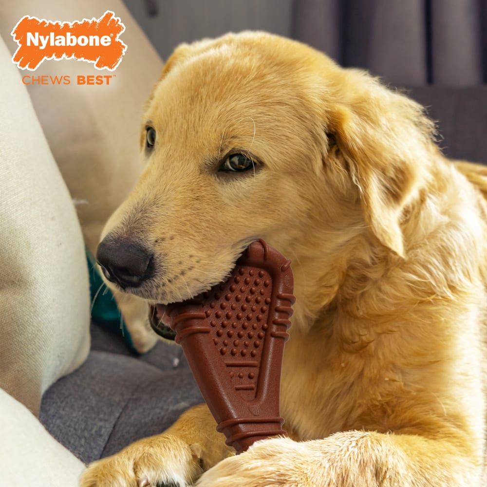 Nylabone Dental Chew Bone Dog Toy Nylabone Dental Chew Bone Dog Toy