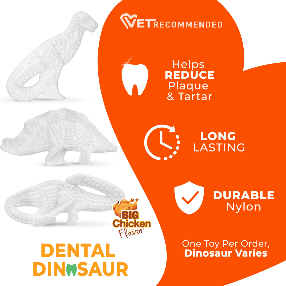 Dental Dinosar chew toy infographic with list of features.