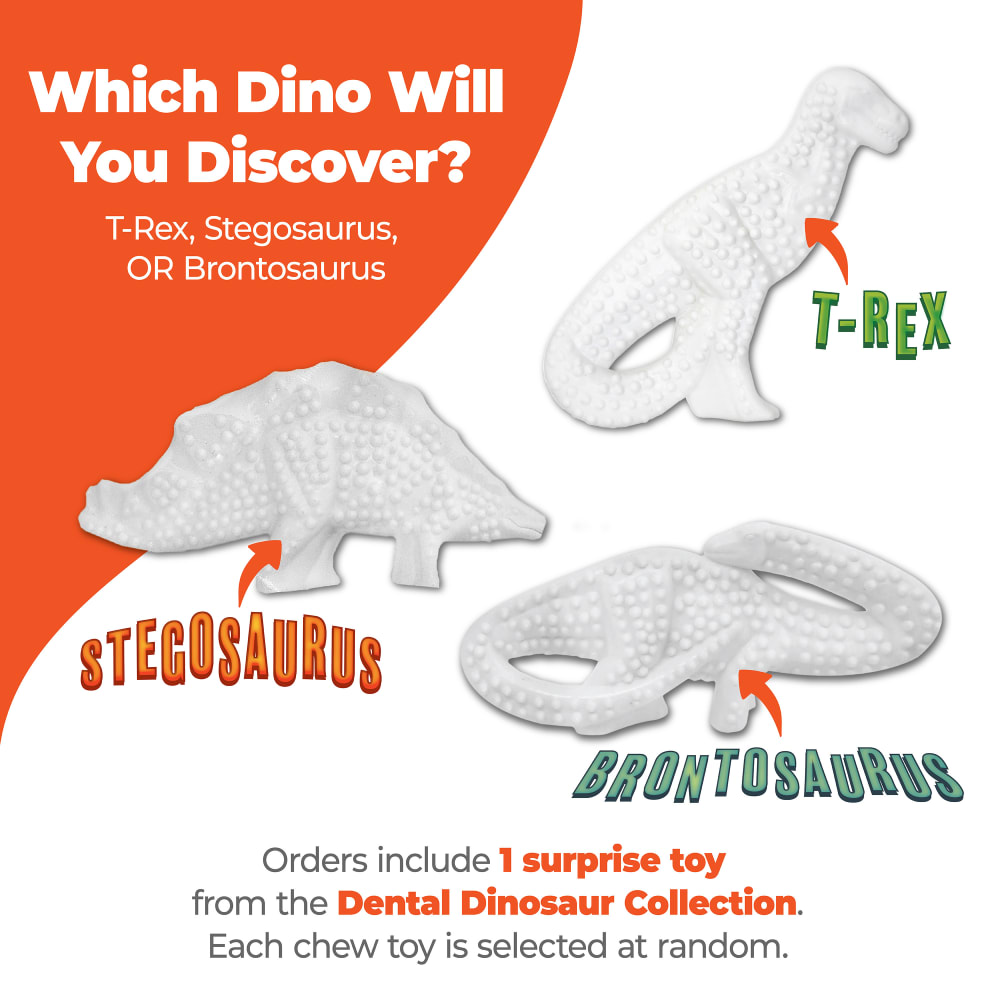 Power Chew Dental Dinosaur Dog Toy | Nylabone