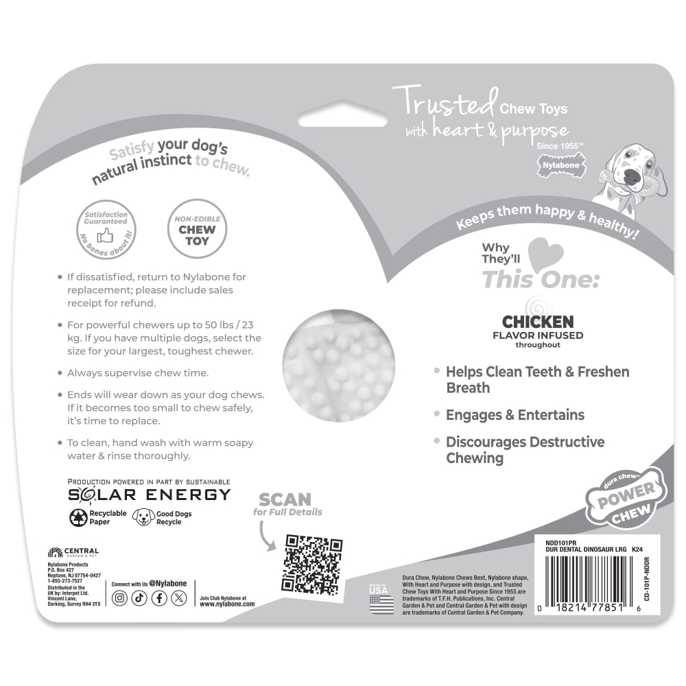 Back view of Nylabone Dental Dinosaur Lrg in packaging