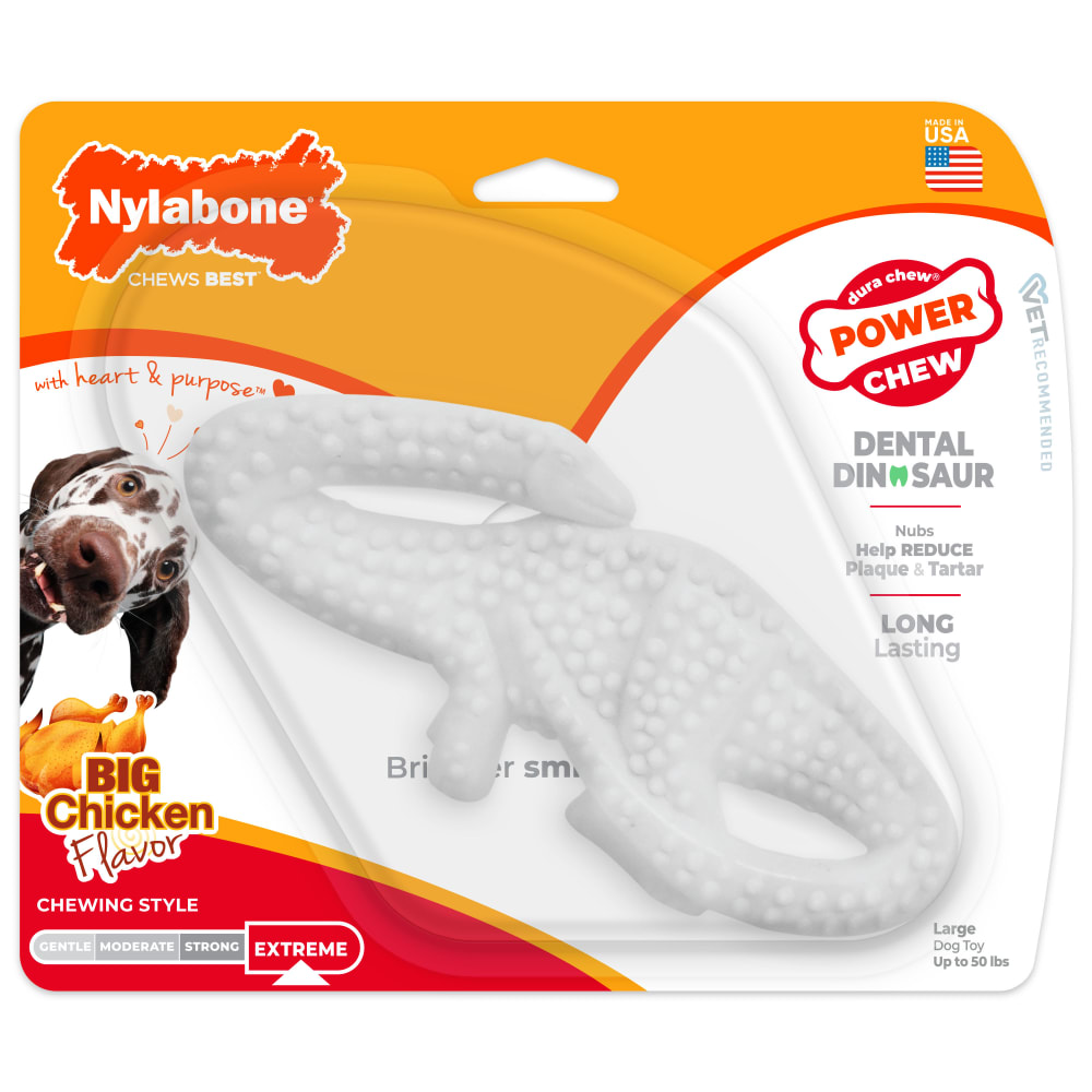 Front view of Nylabone Dental Dinosaur Lrg in packaging