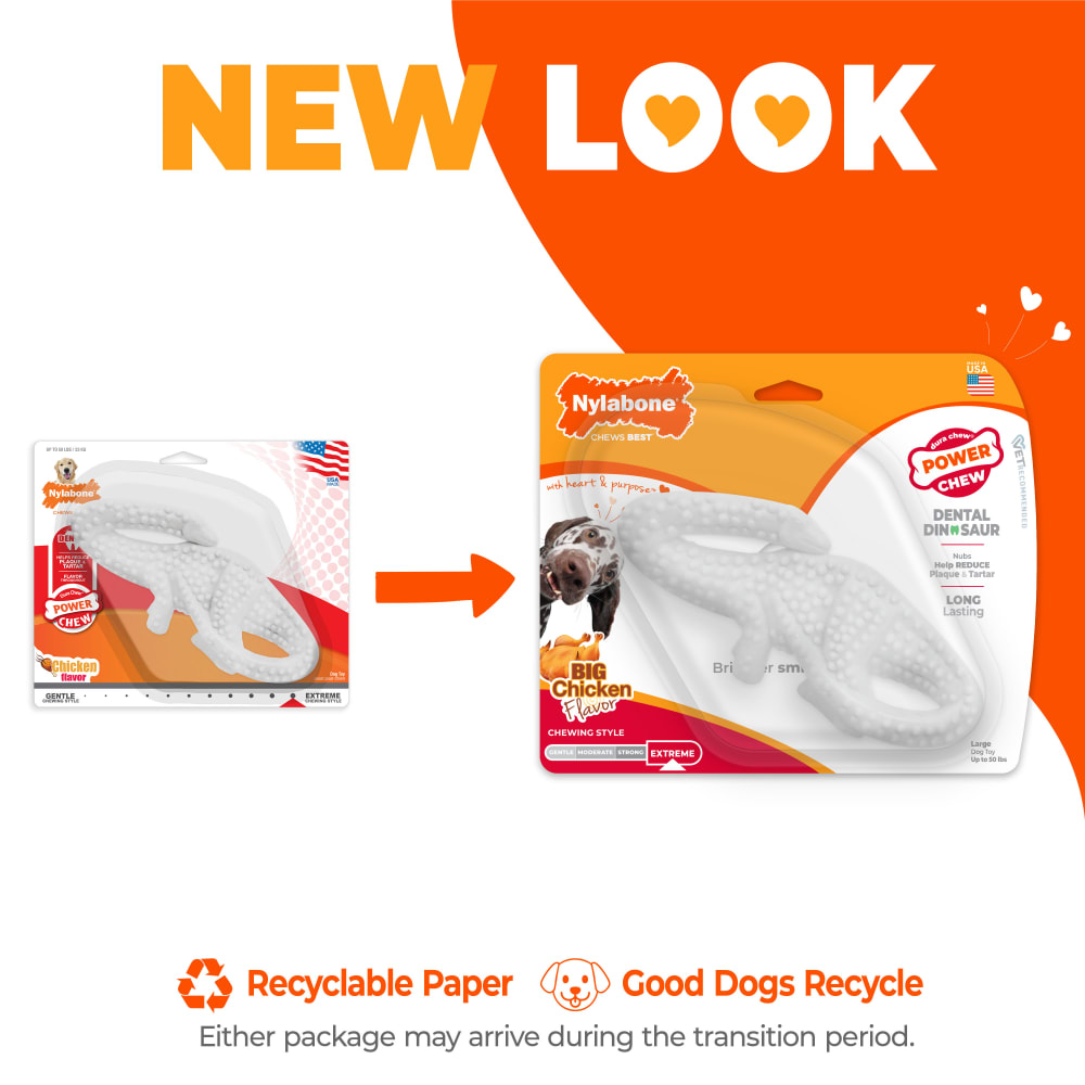 Power Chew Dental Dinosaur Dog Toy | Nylabone