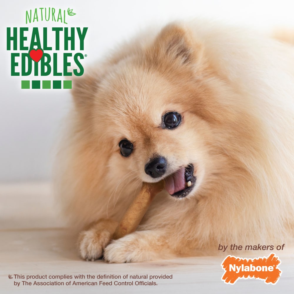 Healthy Edibles Roast Beef Chicken Chew Treats Nylabone