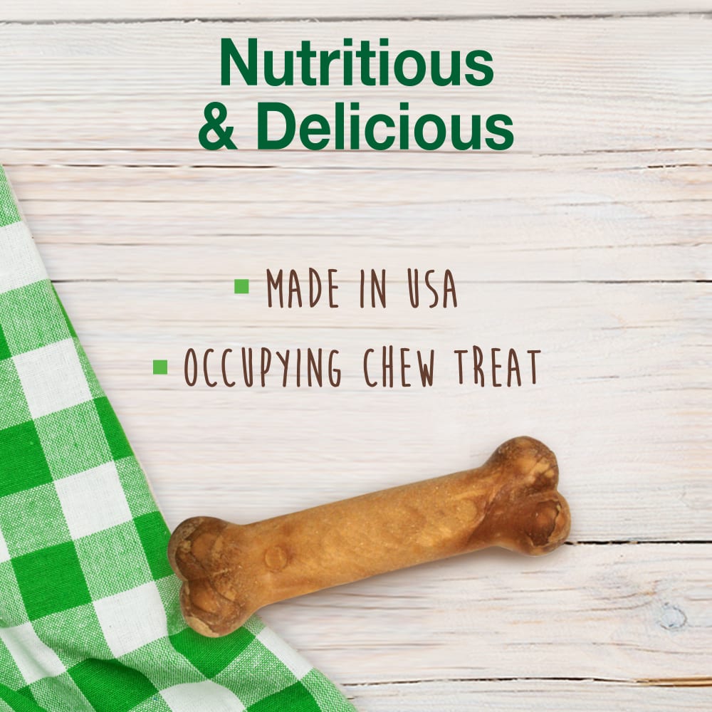 Bacon Flavor Dog Chew Treats Healthy Edibles Nylabone