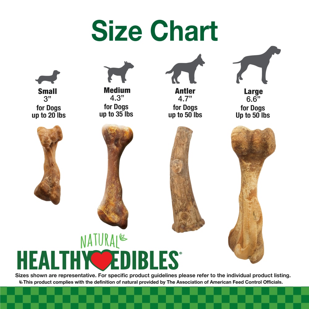 Bone broth bones for dogs online