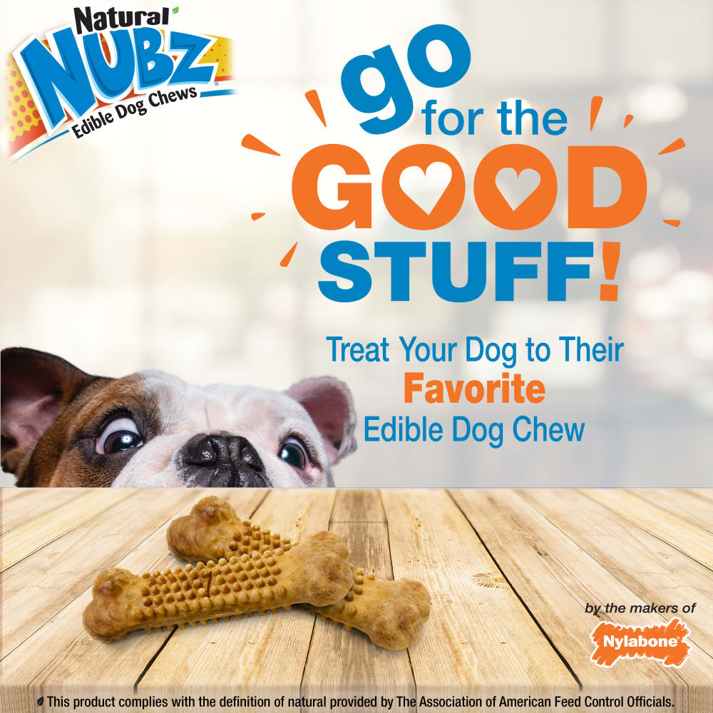 Long Lasting Chicken Dog Treats Natural Nubz Nylabone