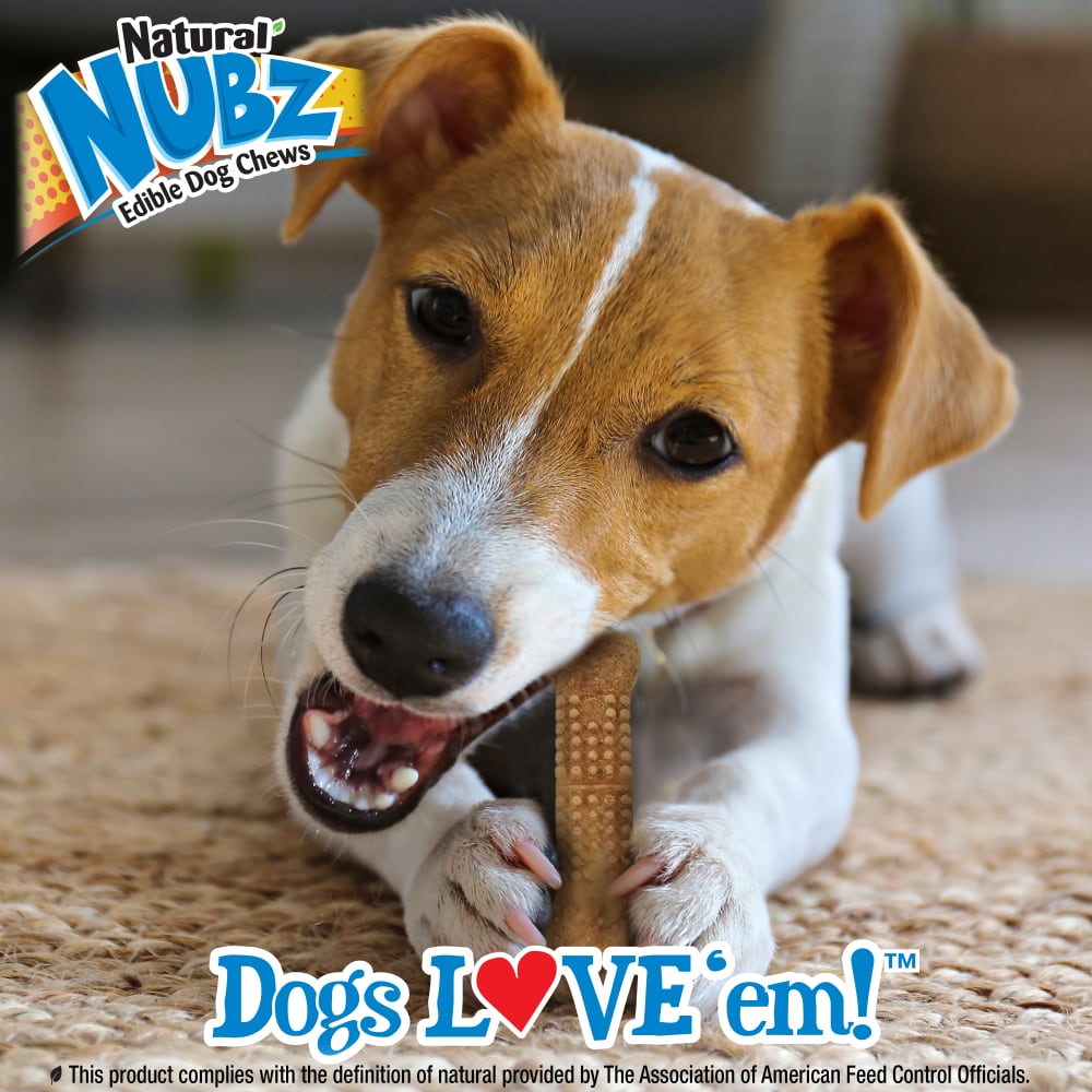 Long Lasting Chicken Dog Treats Natural Nubz Nylabone